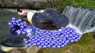 Pry open the giant clam instantly mesmerized by countless purple pearls inside extremely beautiful [upl. by Maillij]