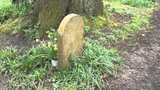 Hanging on a Star  Nick Drake  Nick Drake  Grave  Tanworth in Arden [upl. by Nathanial]