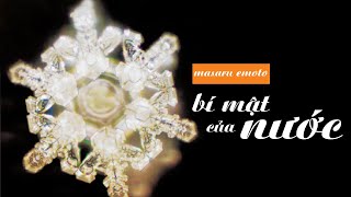 Sách Nói Bí Mật Của Nước  Chương 1  Masaru Emoto [upl. by Duax]