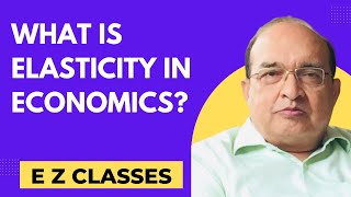 What is Elasticity in Economics [upl. by Schecter]