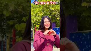 Kesariya Tera Ishq Hai Piya kesariyateraishq shortsfeed shortvideo subscribe viral short [upl. by Sivrat162]