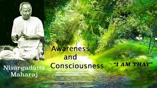 Nisargadatta Maharaj  I Am That  Item 11 Awareness And Consciousness Eternal And Relative [upl. by Stav237]