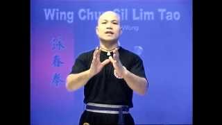 Wing Chun kung fu siu lim tao  form applications Lessons 1010 [upl. by Aderb498]