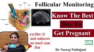 Follicular Study in Hindi  Dr Neeraj Pahaljani [upl. by Barnes]