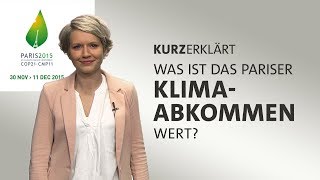 kurzerklärt Was ist das Pariser Klimaabkommen wert [upl. by Mcclure157]