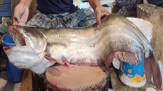 Giant Wallago Catfish Cutting amp Chopping in Fish Market  Boal Fish Cutting Skills [upl. by Welby]