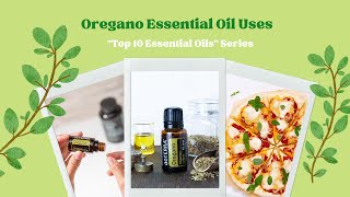 Oregano Essential Oil Uses [upl. by Ellennod]