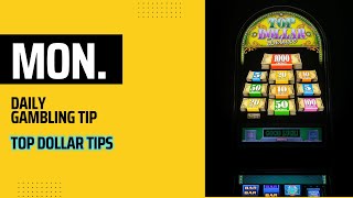 Daily Gambling Tip Top Dollar Tips [upl. by Bolten]