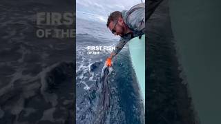 Sailfishing aboard GOOD DAY Costa Rica [upl. by Jorgenson]