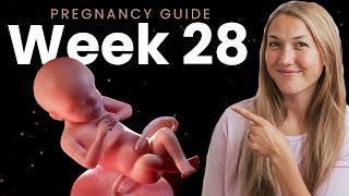 28 Weeks Pregnant  Week By Week Pregnancy [upl. by Firman]