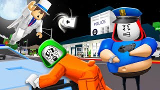 POLICE vs CRIMINAL and SUPER THIEF  Maizen Roblox  ROBLOX Brookhaven 🏡RP  FUNNY MOMENTS [upl. by Ynaffad]