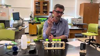 Osmosis UTube Experimental Setup [upl. by Einram29]