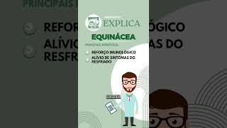 Farmacêutico Explica Equinácea [upl. by Dloreh]