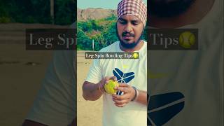 Leg Spin Bowling Tips🥎 [upl. by Hoxsie552]