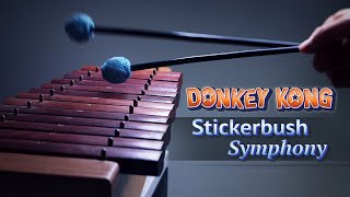 Donkey Kong  Stickerbrush Symphony 🎨 [upl. by Dorweiler487]