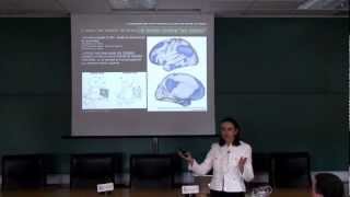 Los circuitos neurales de la consciencia Carmen Cavada Universidad de Navarra [upl. by Amles]