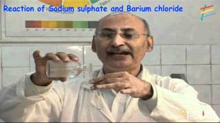 Reaction of Sodium sulphate and Barium chloride [upl. by Abramo413]