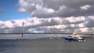 April Cruise Boat Firth Of Forth South Queensferry Scotland [upl. by Julis]