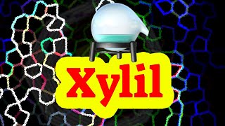 HOW SAY XYLYL XYLYL PRONUNCIATION HIGH QUALITY VOICES WIE SAGT MAN XYLYL COMO DECIR XYLYL [upl. by Rois]