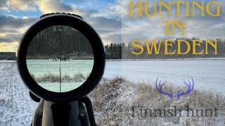 Hunting in Sweden 2023  Finnish Hunt [upl. by Neelik]