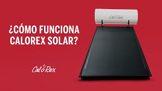 ¿Cómo funciona el calentador Calorex Solar [upl. by Laverna162]