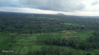 Sawah Mancingan [upl. by Ayanahs]