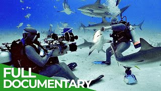 Shark Divers  One of the Worlds Most Dangerous Jobs  Free Documentary Nature [upl. by Eanert]