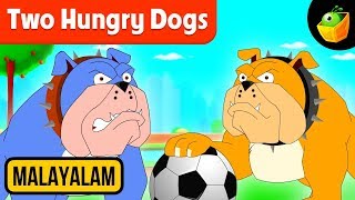 അത്യാഗ്രഹികളായ നായ്ക്കൾ Two Hungry Dogs  Aesops Fables  Magicbox Malayalam [upl. by Annaehs]