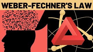 Weber Fechners Law Explained [upl. by Linnell]