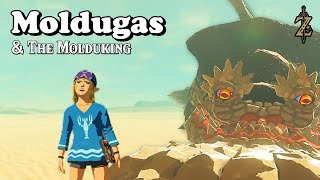 Molduga Molduking Strategies amp Farming in Zelda Breath of The Wild  BotW [upl. by Ahsaei]