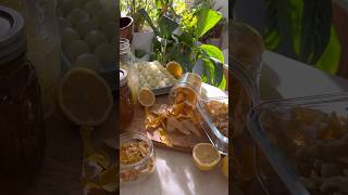 Preserve Lemons Four Ways [upl. by Margaretha]