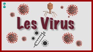 Quest ce quun Virus  Bases virologiques [upl. by Kris531]