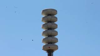 Federal Signal quotThunderModquot 5020 siren test alert  Moore Oklahoma 1192019 [upl. by Marentic]