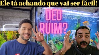 TPA nos dois aquários e a importância do condicionador de água e acelerador biológico no aquarismo [upl. by Hasheem]