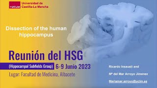 Reunión del HSG 2023 Dissection of the human hippocampus Part 2 [upl. by Eirrab384]