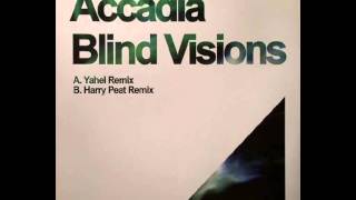 Accadia  Blind Visions Yahel Remix HD [upl. by Lleumas]