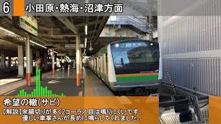 茅ヶ崎駅 発車メロディー「希望の轍」 [upl. by Ezitram734]