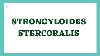 Strongyloides stercoralis  Threadworm  Life Cycle Symptoms Diagnosis Treatment  Nematodes [upl. by Peck900]