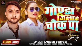 गोण्डा जिला के चौक पा Amresh Dwivedi  Gonda Jila Ke Chauk Pa gondajila  Bhojpuri Song 2024 [upl. by Noerb]