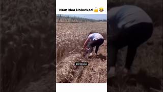 When You Used 💯 Of Your Brain 😂 shorts trending memes funny viralvideo [upl. by Kai832]