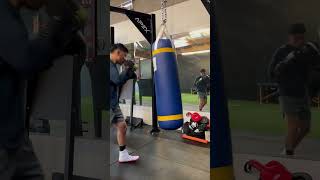 Prolast Heavy Bag Work [upl. by Eilsehc]