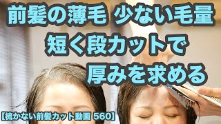 【梳かない前髪カット動画 560】「前髪の薄毛 少ない毛量 対策」前髪を短く昔ながらの段カットで「前髪の厚みと多さを」求める [upl. by Yenffit832]