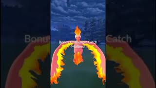 One Shot Shiny Moltres ✨ Pokemon Go [upl. by Arramat927]