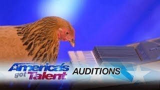 Jokgu of the Flockstars Audition Americas Got Talent 2017 [upl. by Roybn]