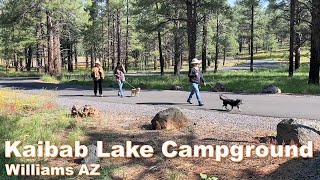 CAMPING AT KAIBAB LAKE CAMPGROUND  WILLIAMS AZ [upl. by Fahey]