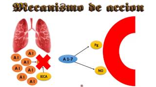 Antihipertensivos IECA [upl. by Anwahsad314]