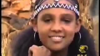 new ethiopian wollo musicTeshome Mitiku  Ye Wello Lej [upl. by Aihsenyt629]