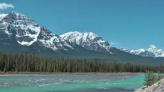 Jasper National Park Burn Area of July 2024 Filmed on the May Long Weekend 2016 in Jasper Alberta [upl. by Wier]