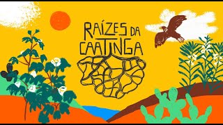 IDH introduces Raízes da Caatinga  minidoc english subtitles [upl. by Schroder]