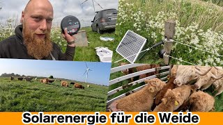 FarmVLOG815  Unsere Weide wird modernisiert  Rinder kommen auf die Sommerweide [upl. by Etat766]